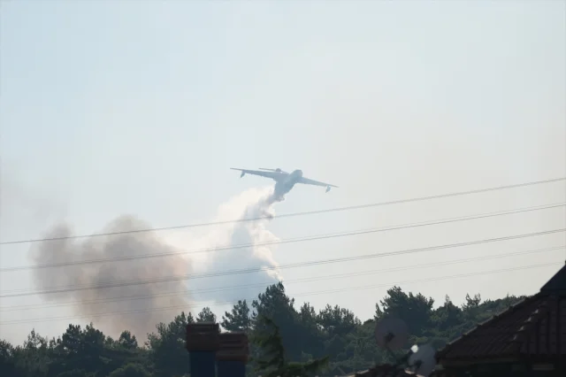 Urla'da Orman Yangını: Ekipler Hızla Müdahale Ediyor