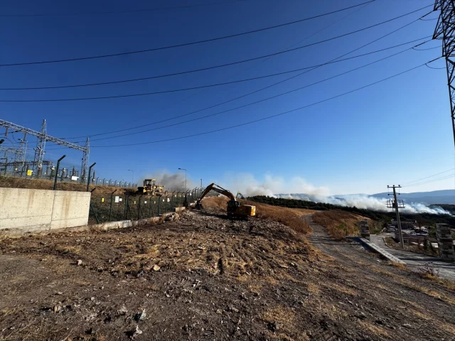Urla'da Orman Yangını: Ekipler Hızla Müdahale Ediyor