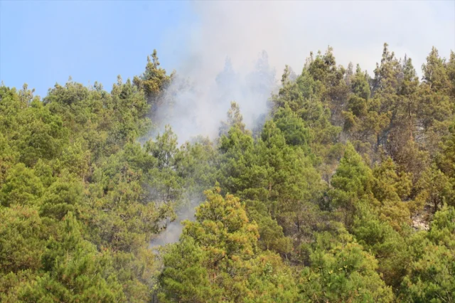 Tokat'ın Erbaa Bölgesindeki Orman Yangını Başarıyla Söndürül...