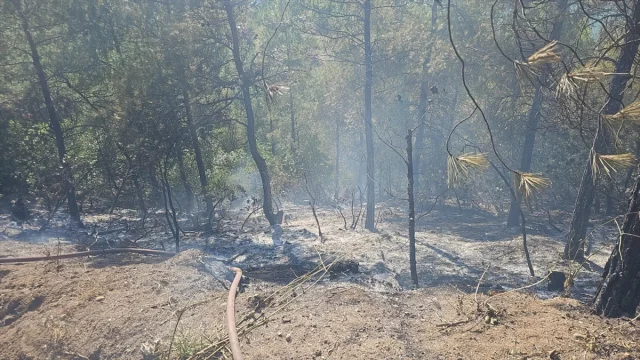 Tokat'ın Erbaa Bölgesindeki Orman Yangını Başarıyla Söndürüldü