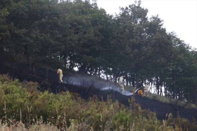 Yalova ve Bursa Arasında Çıkan Orman Yangını Kontrol Altında