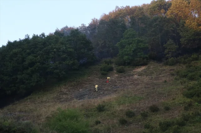 Yalova ve Bursa Arasında Çıkan Orman Yangını Kontrol Altında