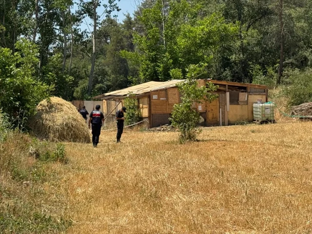 Sakarya'da Gizemli Kayıp: Fevzi Candemir Bahçesinde Ölü Bulundu