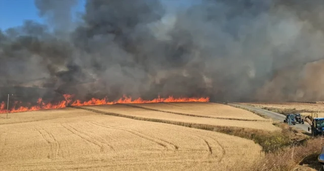 Çorum’da Buğday Tarlasındaki Büyük Yangın Kontrol Altına Alı...