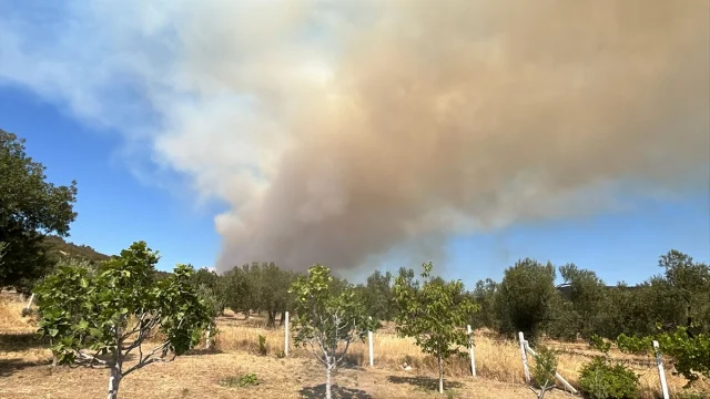 Çanakkale'nin Ayvacık İlçesinde Orman Yangınıyla Mücadele Sürüyor