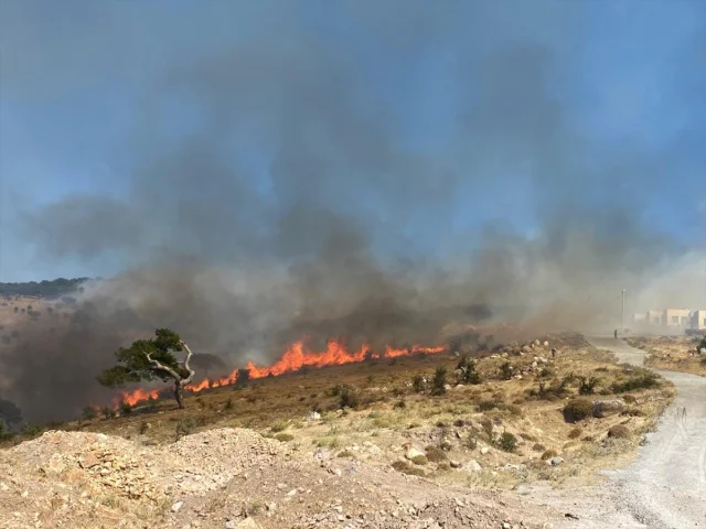 Çanakkale'nin Ayvacık İlçesinde Orman Yangınıyla Mücadele Sürüyor