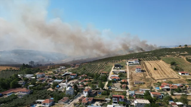 Tekirdağ'da Anız Yangını Ormanı Tehdit Ediyor