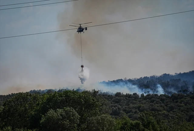 Bursa'daki Orman Yangını Hızla Kontrol Altına Alındı