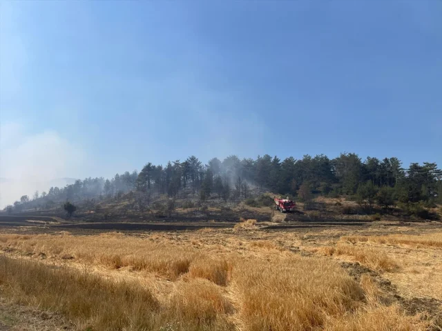 Bolu'da Orman Yangını Başarıyla Kontrol Altına Alındı