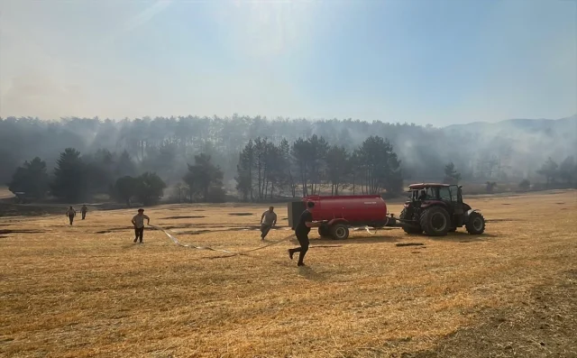 Bolu'da Orman Yangını Başarıyla Kontrol Altına Alındı