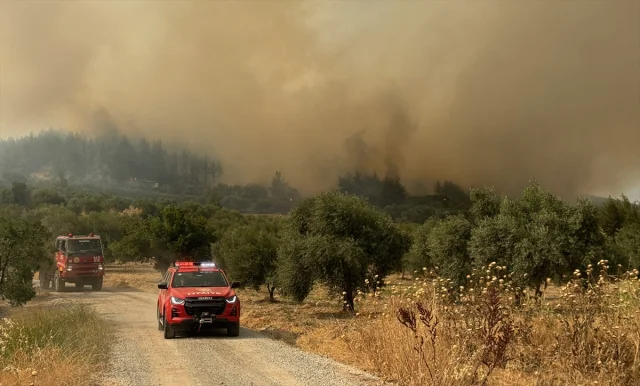 Manisa'da Orman Yangınlarıyla Mücadele Sürüyor