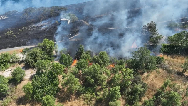Tekirdağ'da Anız Yangını Ormanı Tehdit Ediyor