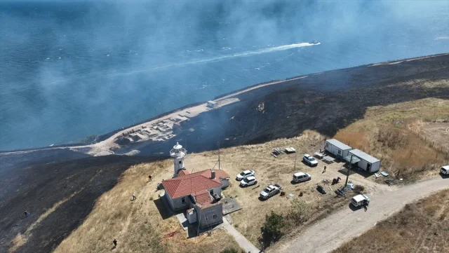 Tekirdağ'da Anız Yangını Ormanı Tehdit Ediyor
