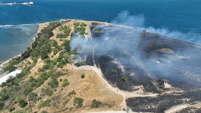 Tekirdağ'da Anız Yangını Ormanı Tehdit Ediyor