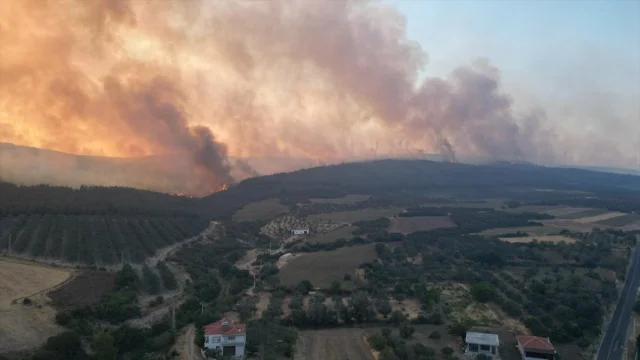 Tekirdağ'da Anız Yangını Ormanı Tehdit Ediyor