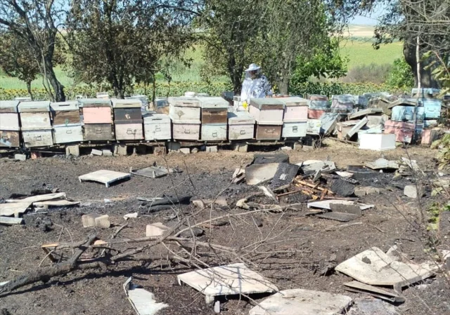 Tekirdağ'da Anız Yangını Arıcılık Sektörünü Vurdu
