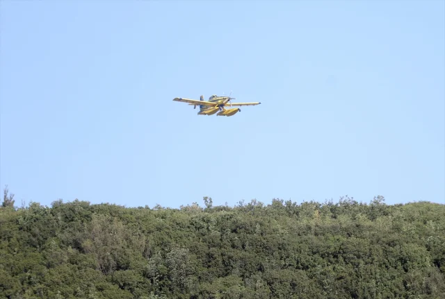 Tekirdağ Orman Yangını Çanakkale'yi Tehdit Ediyor: Havadan ve Karadan Müdahale Sürüyor