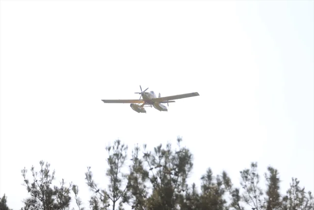 Tekirdağ Orman Yangını Çanakkale'yi Tehdit Ediyor: Havadan ve Karadan Müdahale Sürüyor