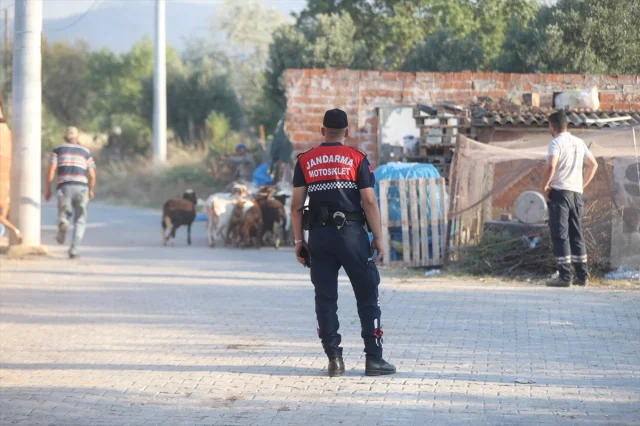Tekirdağ Orman Yangını Çanakkale'yi Tehdit Ediyor: Havadan ve Karadan Müdahale Sürüyor
