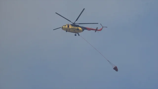 Tekirdağ Orman Yangını Çanakkale'yi Tehdit Ediyor: Havadan ve Karadan Müdahale Sürüyor