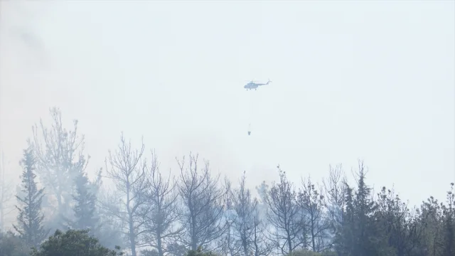 Tekirdağ Orman Yangını Çanakkale'yi Tehdit Ediyor: Havadan ve Karadan Müdahale Sürüyor