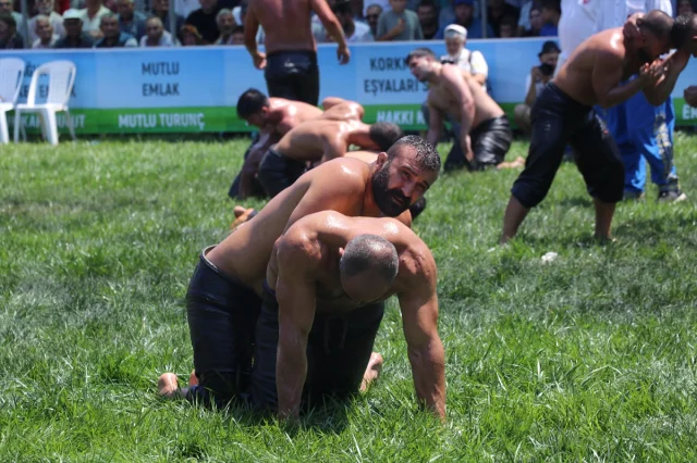 Kocaeli'de Tarihi Namazgah Güreşlerine Büyük İlgi