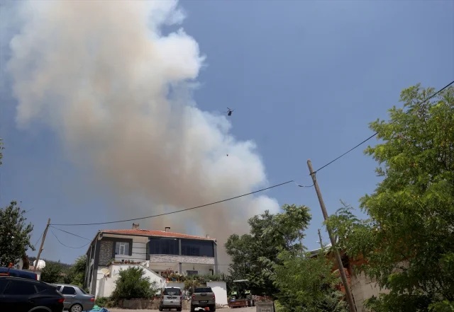 Tekirdağ'da Orman Yangınlarıyla Mücadelede Yoğun Harekat Sür...