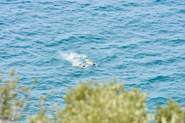 Antalya'nın Sıcak Havası Yeniden Rekor Kırdı: Sahillere Yoğun İlgi