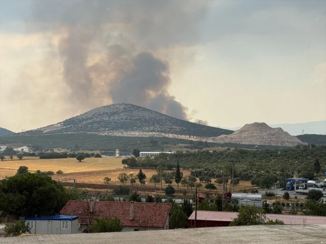 Muğla'da Orman Yangını: Yıldırım Sebebiyle Alevler Yükseldi