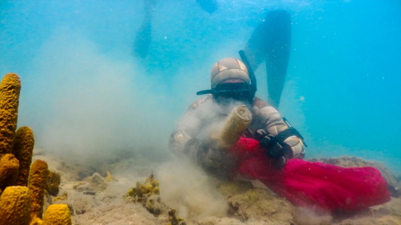Bodrum'un Denizi Dalgıçlarla Daha Temiz