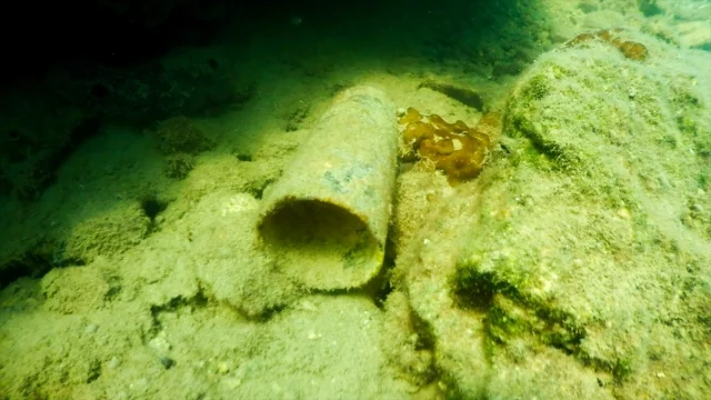 Bodrum'un Denizi Dalgıçlarla Daha Temiz