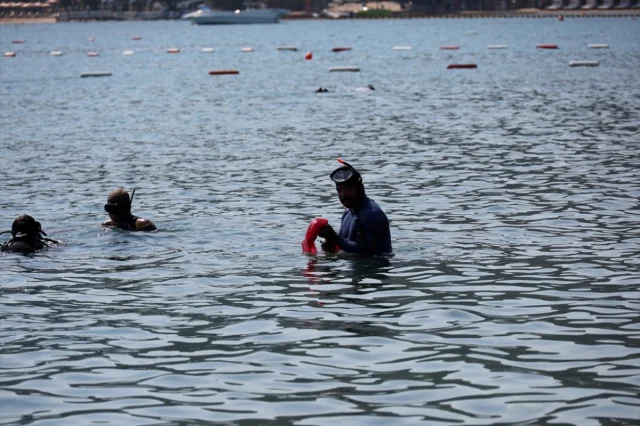 Bodrum'un Denizi Dalgıçlarla Daha Temiz