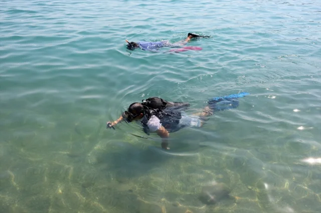 Bodrum'un Denizi Dalgıçlarla Daha Temiz