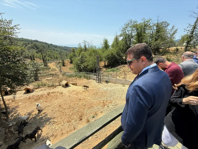Düzce'deki Kurtsuyu Hayvan Barınağına Yenilikçi Adım
