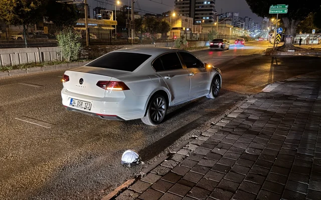 Adana'da Trafik Kazası Faciası: Motosikletteki Yolcu Hayatını Kaybetti
