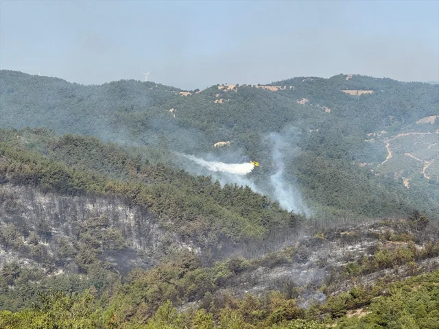 Balıkesir'de Yangın Tehlikesi: Ekiplerin Zorlu Mücadelesi Me...