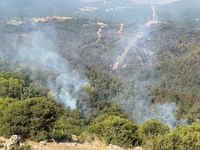 Balıkesir'de Yangın Tehlikesi: Ekiplerin Zorlu Mücadelesi Meyvesini Verdi