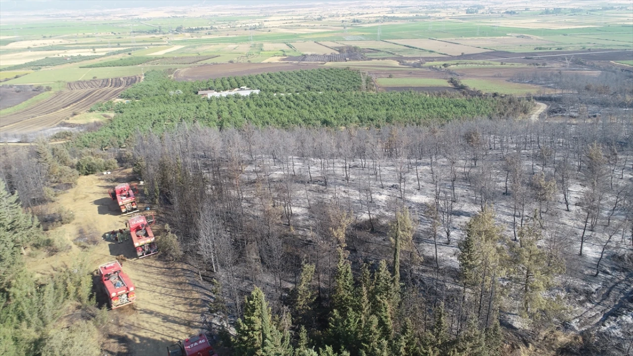 Tekirdağ’dan Çanakkale’ye Uzanan Büyük Yangının Etkileri Dronla Ortaya Çıktı