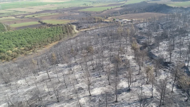 Tekirdağ’dan Çanakkale’ye Uzanan Büyük Yangının Etkileri Dronla Ortaya Çıktı