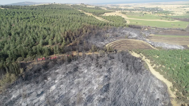 Tekirdağ’dan Çanakkale’ye Uzanan Büyük Yangının Etkileri Dronla Ortaya Çıktı