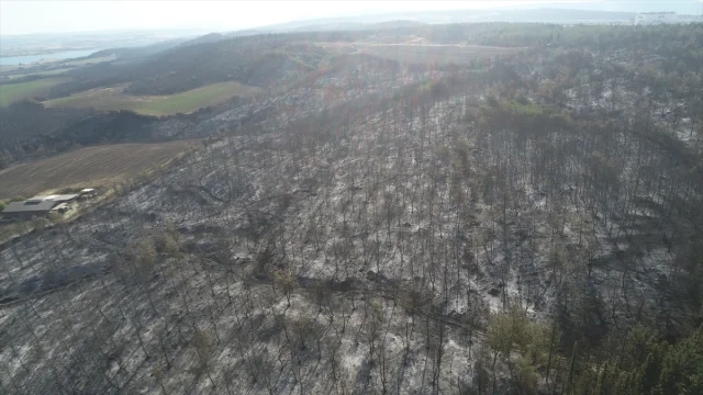 Tekirdağ’dan Çanakkale’ye Uzanan Büyük Yangının Etkileri Dronla Ortaya Çıktı
