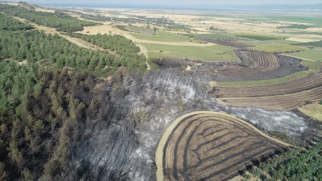 Tekirdağ’dan Çanakkale’ye Uzanan Büyük Yangının Etkileri Dronla Ortaya Çıktı