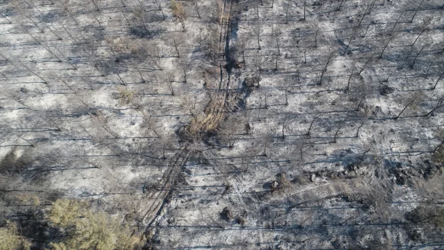 Tekirdağ’dan Çanakkale’ye Uzanan Büyük Yangının Etkileri Dronla Ortaya Çıktı