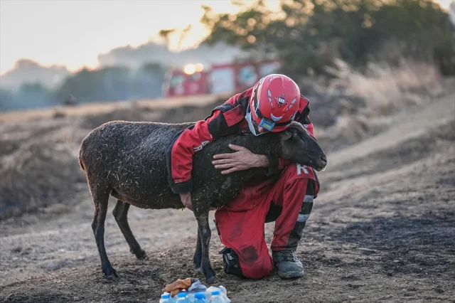 Gelibolu'daki Orman Yangınında Dramatik Kurtarma Operasyonu