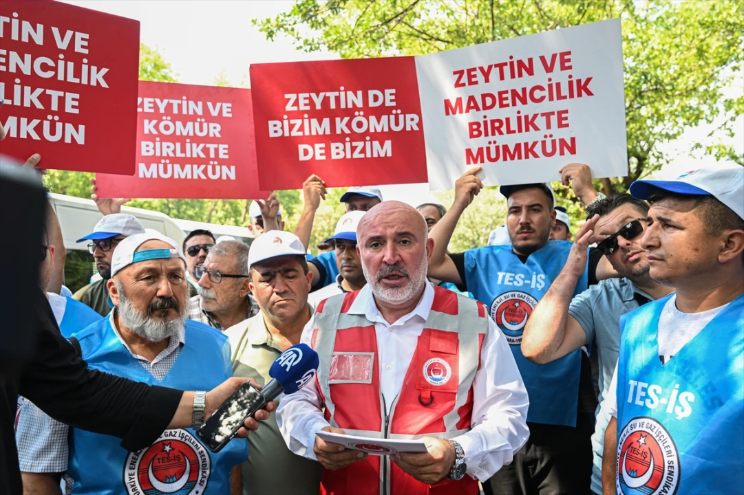 Muğla'da Yeni Enerji ve Maden Düzenlemesi Gündemde
