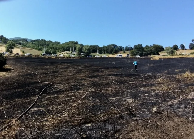 Samsun'da Tarım Arazisinde Çıkan Yangın Büyük Kayıplara Yol...
