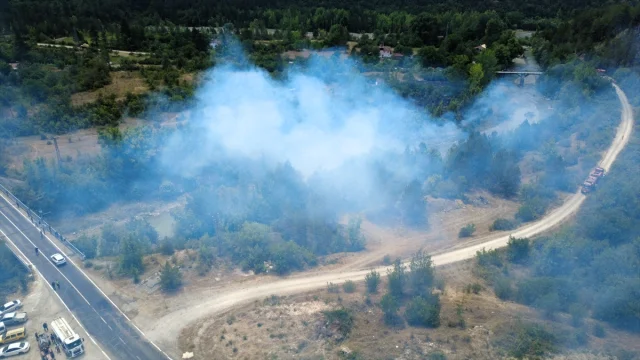 Karabük'te Tarım Alanından Ormana Sıçrayan Yangın Kontrol Al...