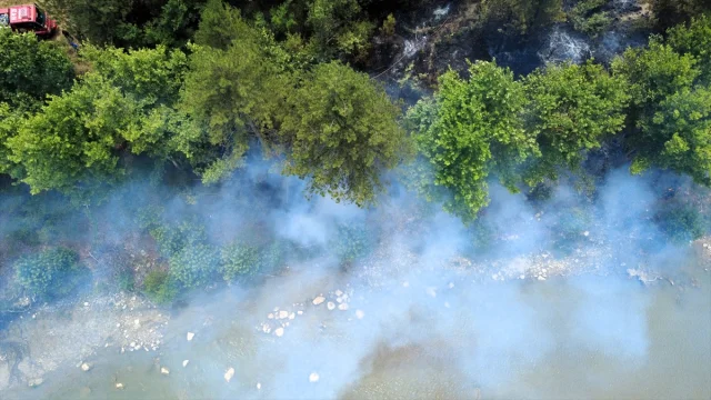 Karabük'te Tarım Alanından Ormana Sıçrayan Yangın Kontrol Altında