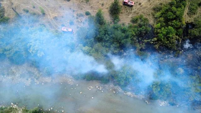 Karabük'te Tarım Alanından Ormana Sıçrayan Yangın Kontrol Altında