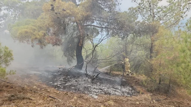 Çorum'da Yıldırım Düşmesi İki Ayrı Noktada Yangın Çıkardı